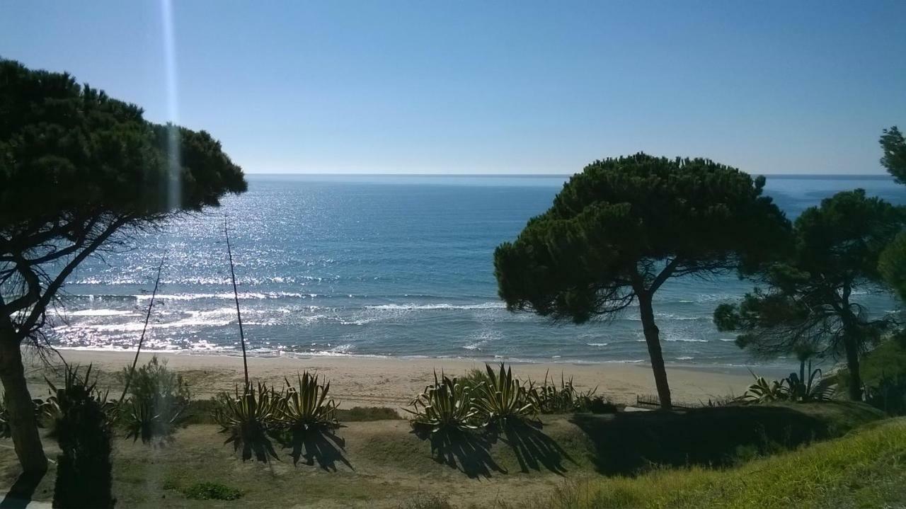 Apartamento Salou, Playas, Piscina 外观 照片